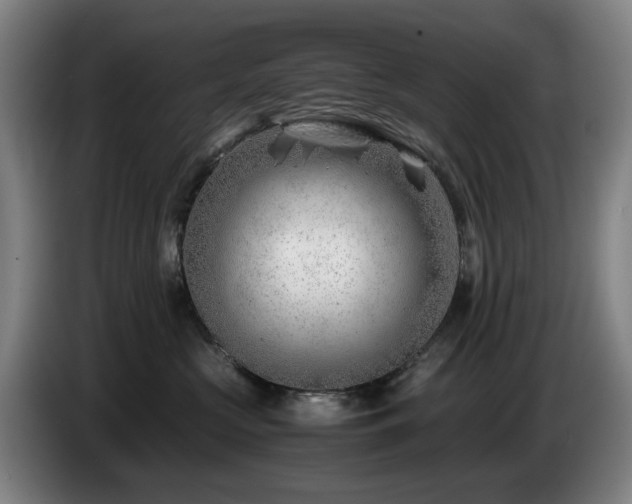 X0000085210573200703091141