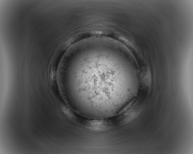 X0000085210574200703091141