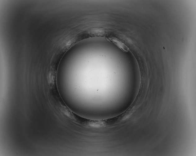 X0000085210576200703091141