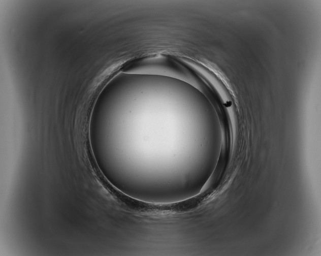 X0000085210577200703091141