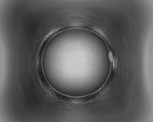 X0000085210579200703091141