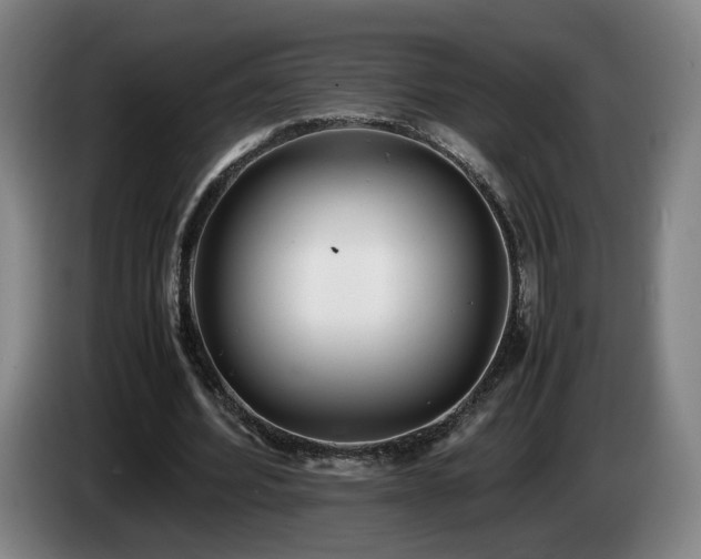 X0000085210580200703091141