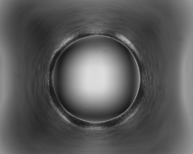 X0000085210581200703091141