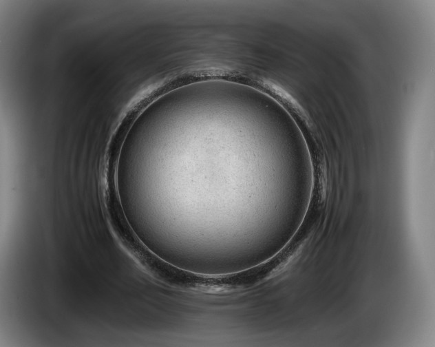 X0000085210582200703091141