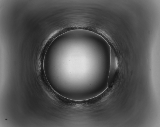 X0000085210584200703091140