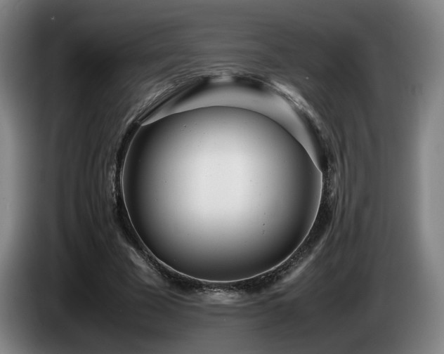 X0000085210585200703091140