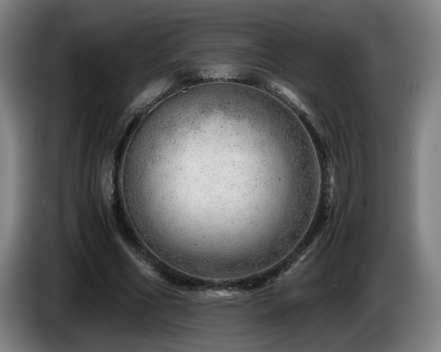X0000085210586200703091140