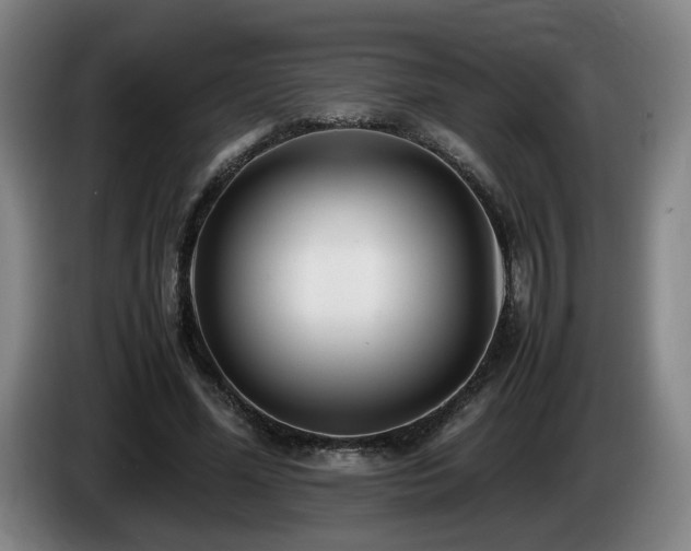 X0000085210588200703091140