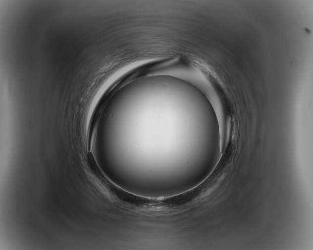 X0000085210589200703091140