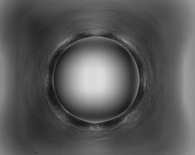 X0000085210591200703091140
