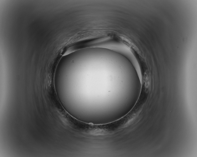 X0000085210593200703091140