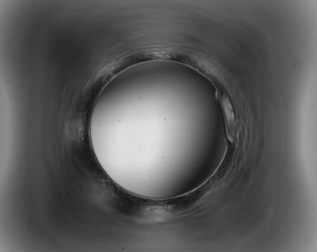 X0000085210595200703091140