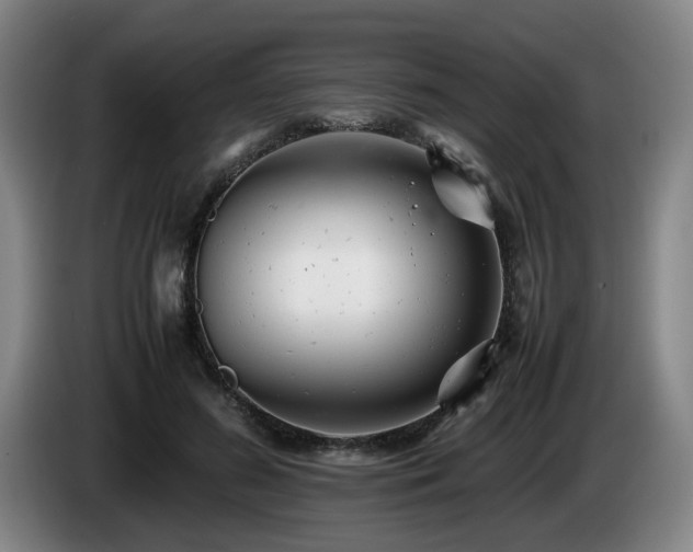 X0000085210596200703091140