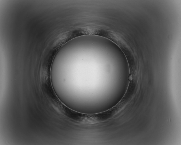 X0000085210599200703091140
