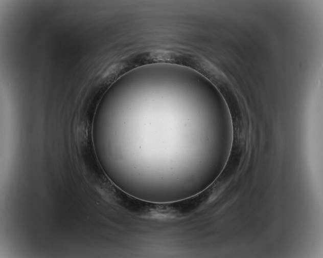 X0000085210603200703091140