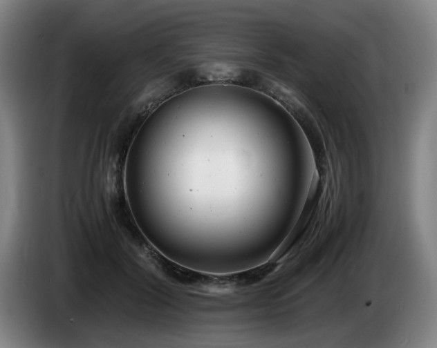 X0000085210604200703091140