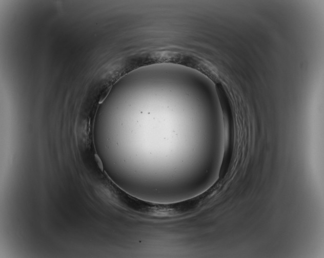 X0000085210605200703091140