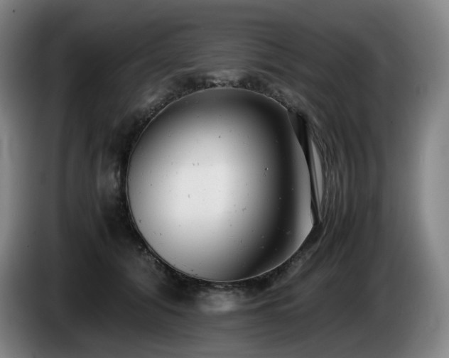 X0000085210608200703091140