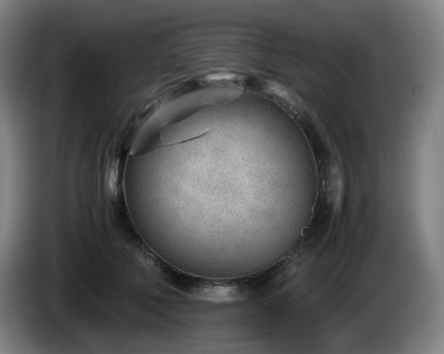 X0000085210610200703091140