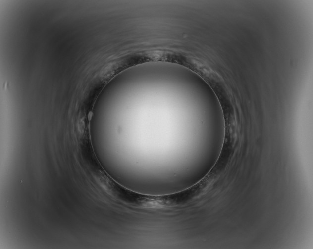 X0000085210611200703091140