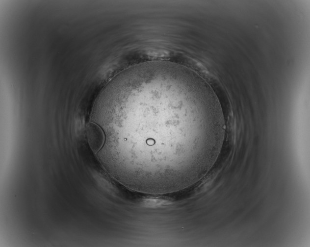 X0000085210614200703091140