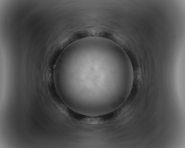 X0000085210615200703091140
