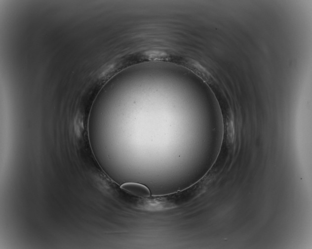 X0000085210618200703091140
