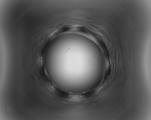 X0000085210621200703091140