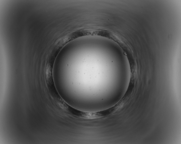 X0000085210623200703091140