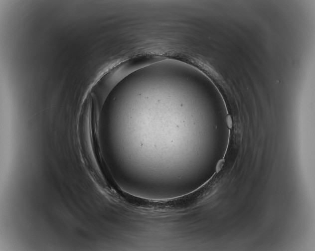 X0000085210626200703091139