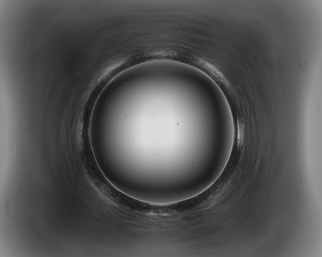 X0000085210627200703091139