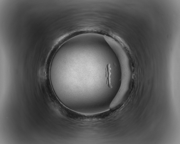 X0000085210628200703091139