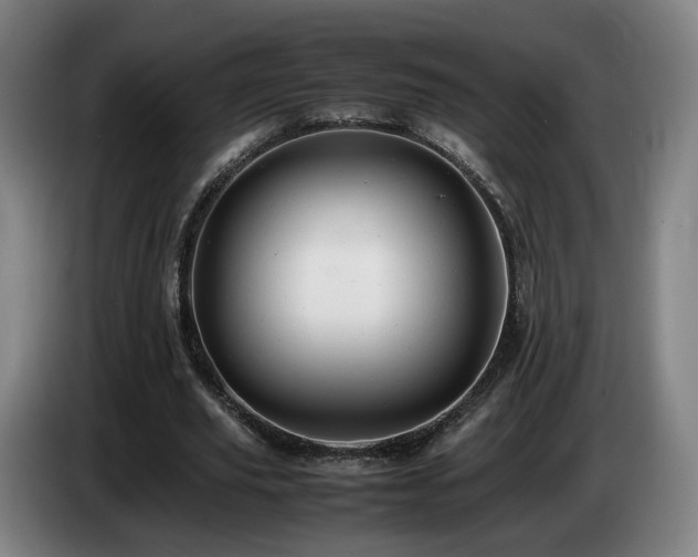 X0000085210629200703091139