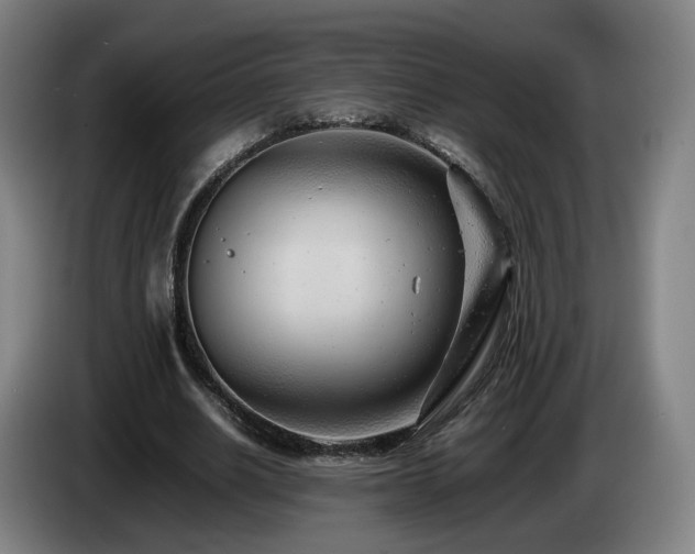 X0000085210630200703091139