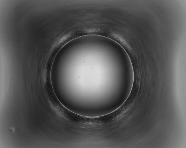 X0000085210631200703091139