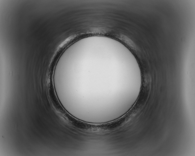 X0000085210632200703091139