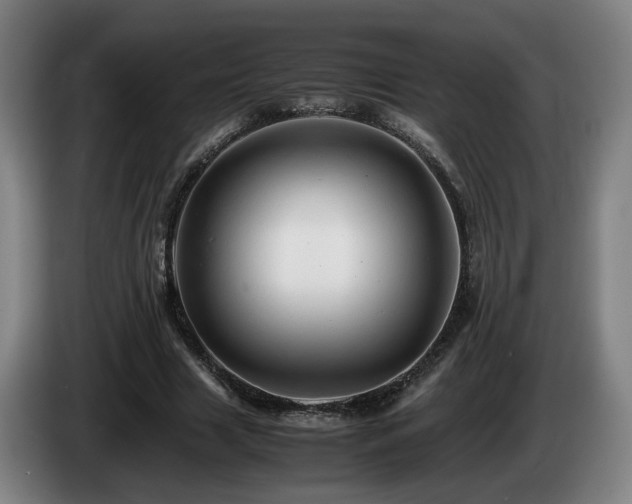 X0000085210633200703091139
