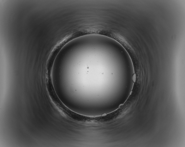X0000085210634200703091139