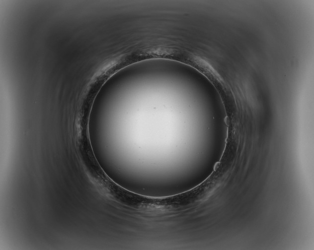 X0000085210635200703091139