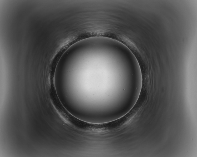 X0000085210638200703091139