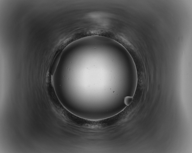 X0000085210639200703091139