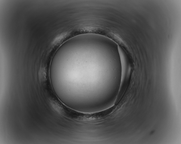 X0000085210640200703091139