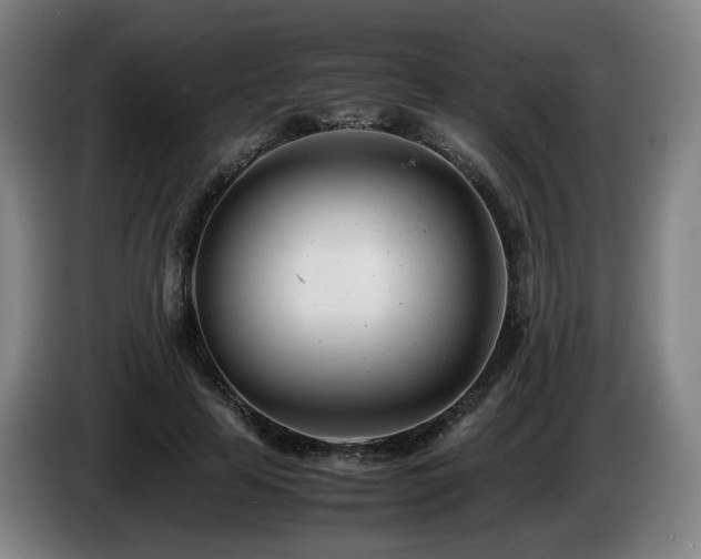 X0000085210641200703091139