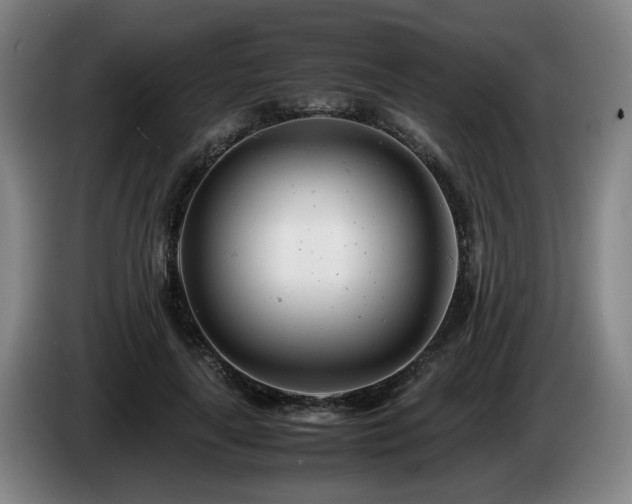 X0000085210643200703091139