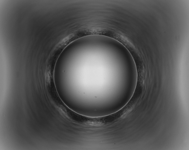 X0000085210644200703091139