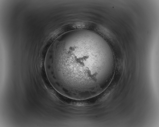 X0000085210645200703091139