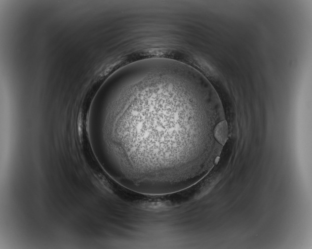 X0000085210646200703091139