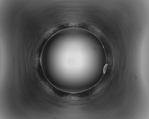 X0000085210648200703091140