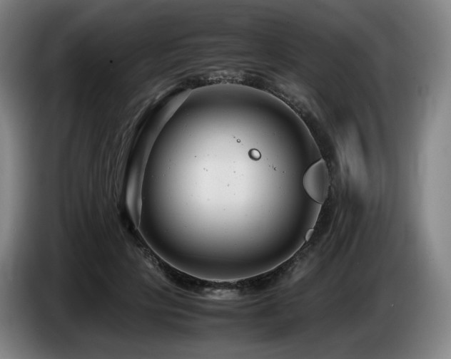 X0000085210649200703091140