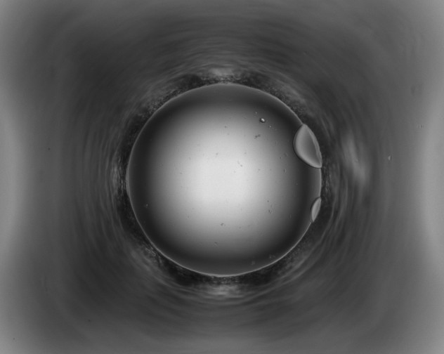 X0000085210651200703091140